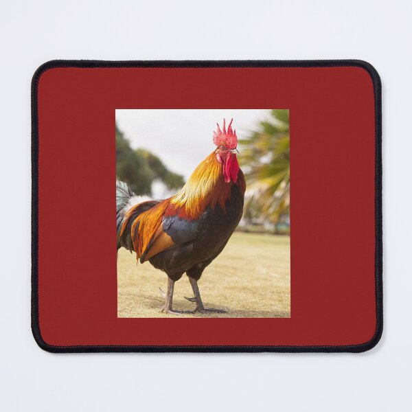 Item preview, Rooster Standing Outside, funny, cute designed and sold by TheCatmeow2000.