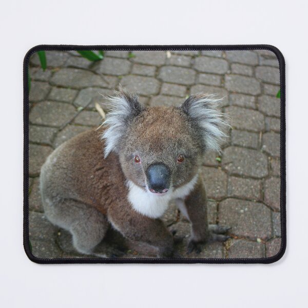 Item preview, Look into my eyes designed and sold by FranWest.