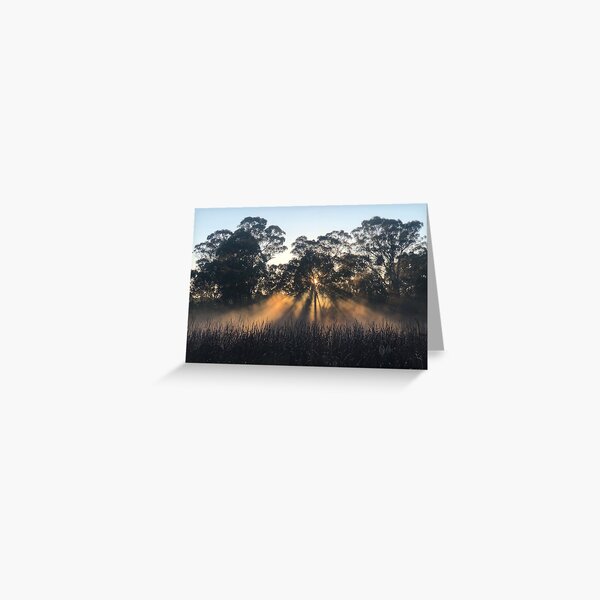 Item preview, Bushland Sunlight designed and sold by smh2.