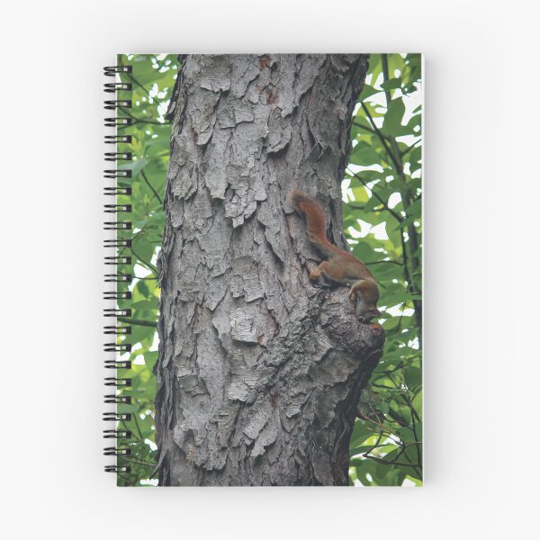 Item preview, Red Squirrel designed and sold by OneCreativePup.