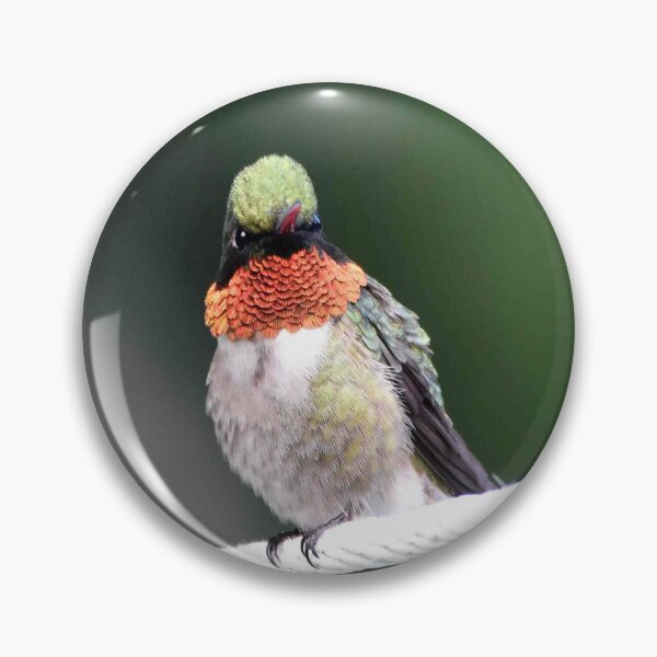 Item preview, hummingbird designed and sold by Maureen Zaharie.