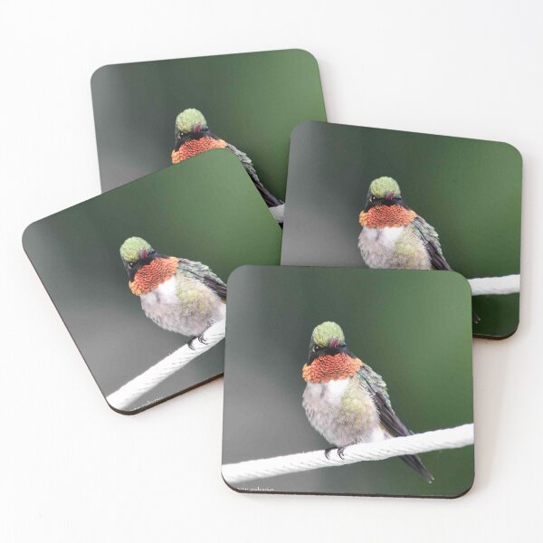 Item preview, hummingbird designed and sold by Maureen Zaharie.