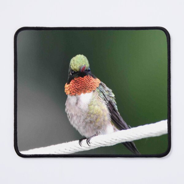 Item preview, hummingbird designed and sold by Maureen Zaharie.