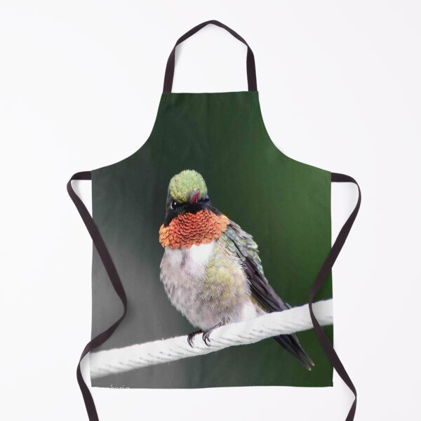 Item preview, hummingbird designed and sold by Maureen Zaharie.