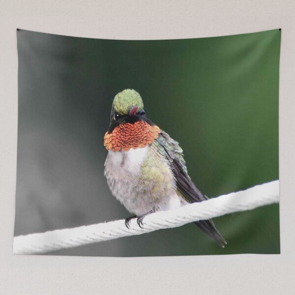 Item preview, hummingbird designed and sold by Maureen Zaharie.