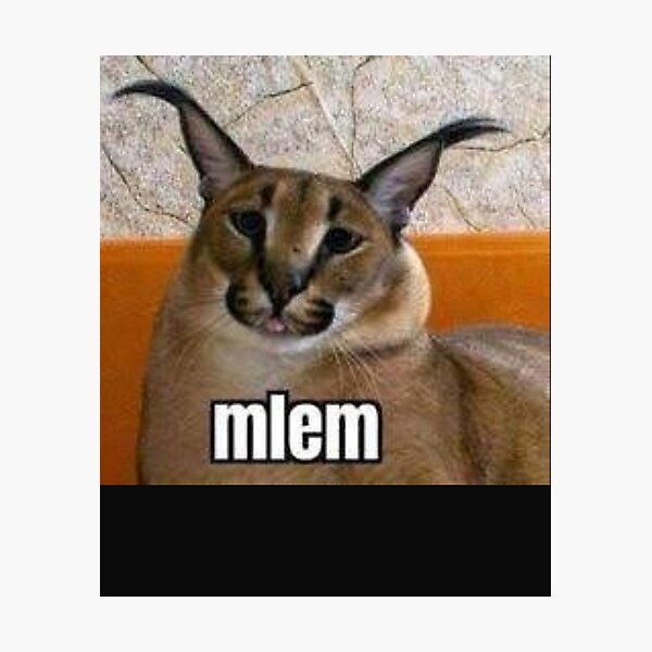 i am email #email #maleorfemale #iamemail #meme #floppa #caracal