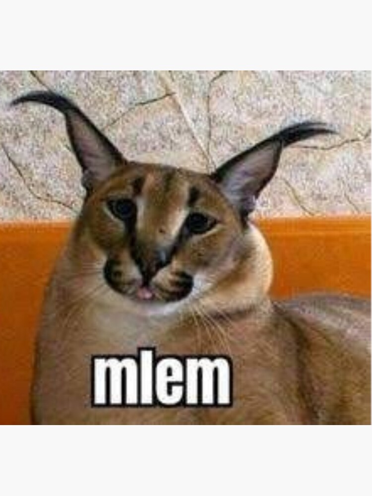 cheems #floppa #bigfloppa #meme #memes #cursedimages #cursed #dankmemes  #dank #caracal #cutecats #animals…