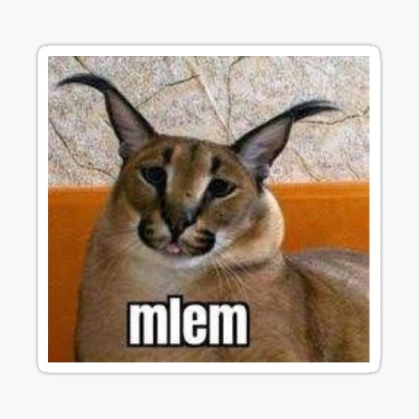 Drunk Floppa Meme Caracal Cat  Postcard for Sale by fomodesigns