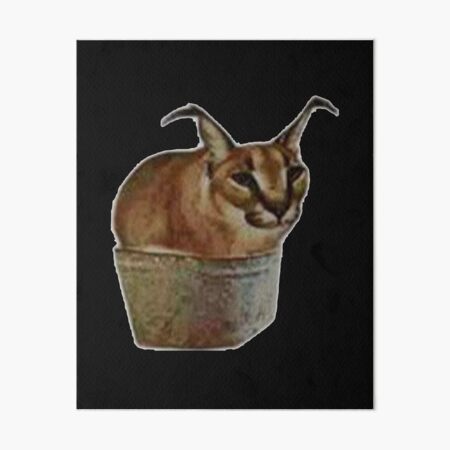 Big Floppa Cat Meme Art Board Print for Sale by momshow