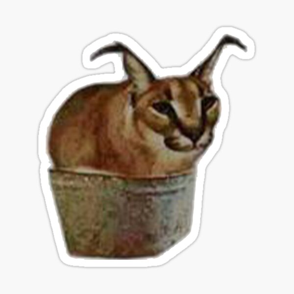 Big Floppa - Caracal meme cat / fat floppa / cursed floppa Greeting Card  for Sale by romanticists