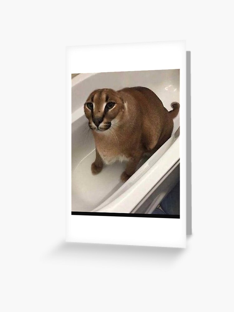 Póster for Sale con la obra «Gran Gato Floppa Meme» de momshow