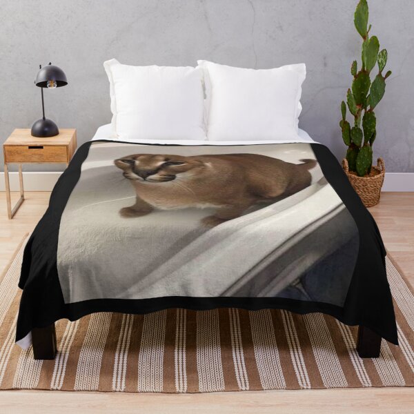 Item preview, Big folopa  meme  designed and sold by momshow.