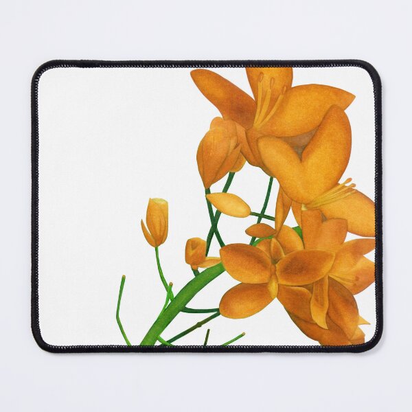 Item preview, Yellow Flowers designed and sold by artelu-cr.
