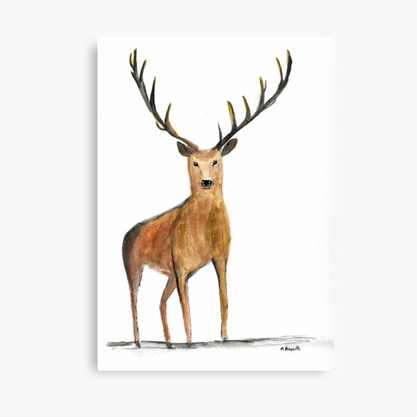 Elk watercolour Canvas Print