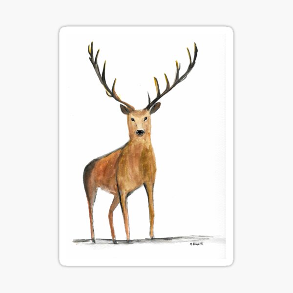 Elk watercolour Sticker