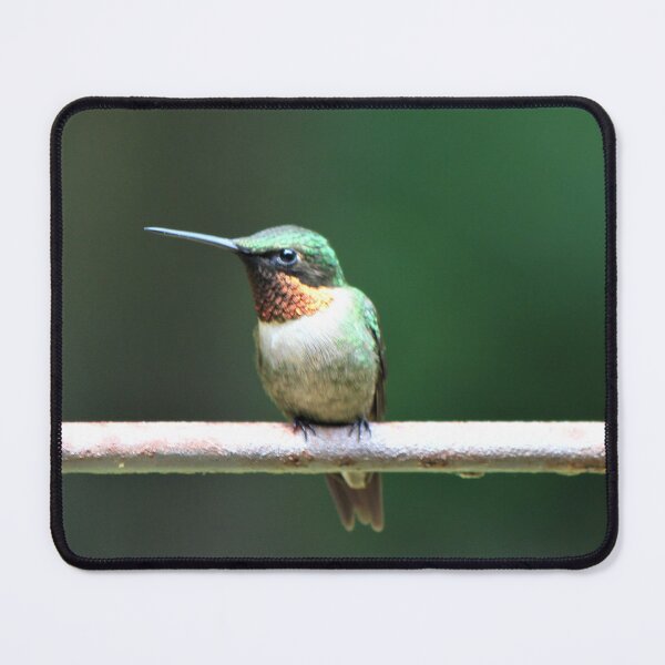 Item preview, Hummingbird designed and sold by LCRobertsonArt.
