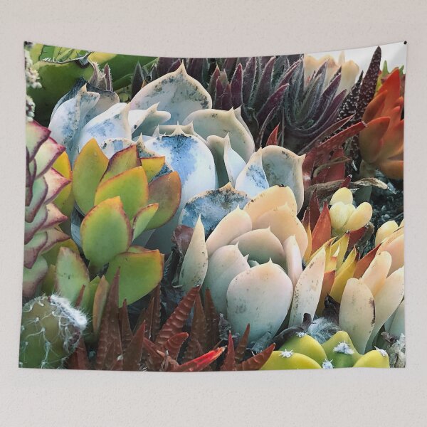 Item preview, Colorful Succulent Garden In Morning Sunlight designed and sold by DEC02.