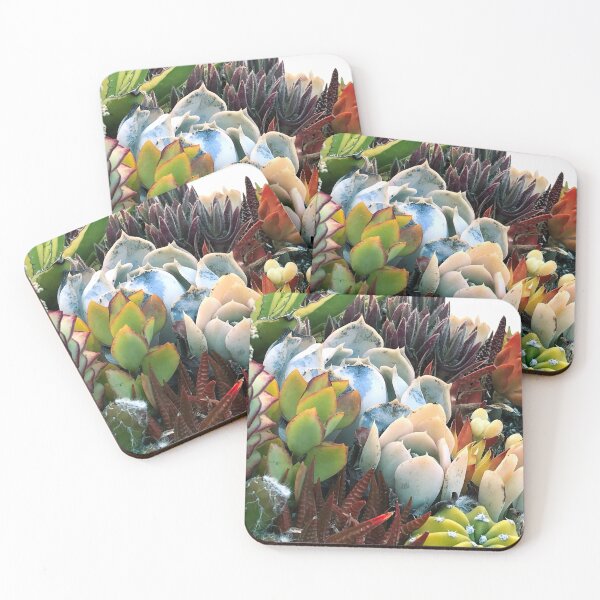 Item preview, Colorful Succulent Garden In Morning Sunlight designed and sold by DEC02.