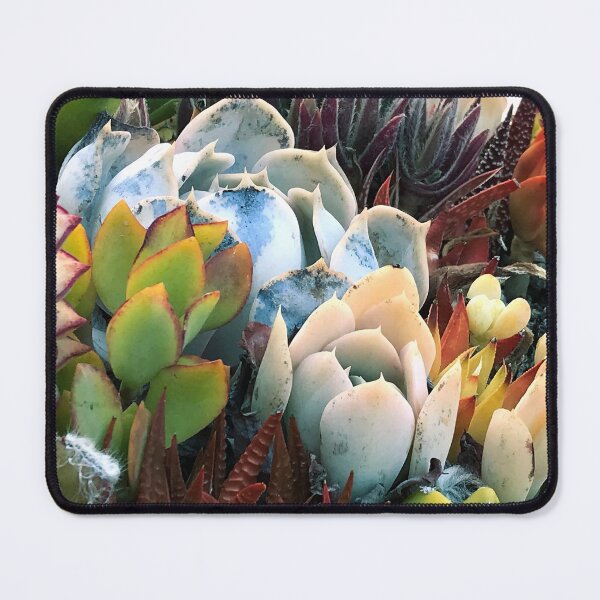 Item preview, Colorful Succulent Garden In Morning Sunlight designed and sold by DEC02.