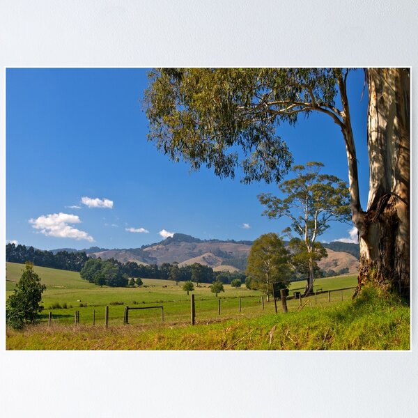 Item preview, Mt Worth in Gippsland, Victoria designed and sold by johnrf.