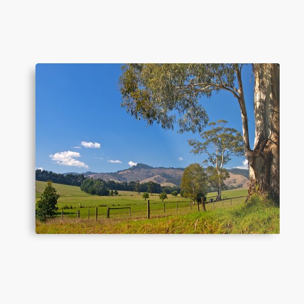 Mt Worth in Gippsland, Victoria Metal Print