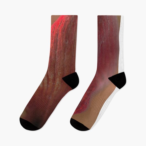 Item preview, Amaryllis Bud designed and sold by Elizabeth  de Vries.
