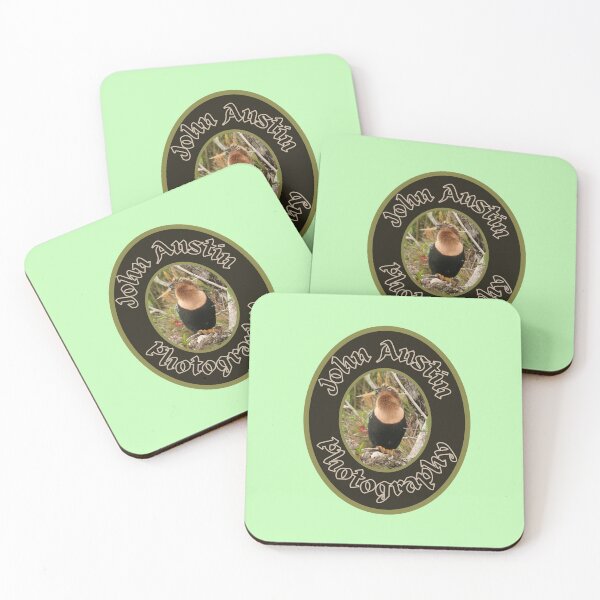 Item preview, Male Anhinga Bird Design designed and sold by CoyoteGifts.