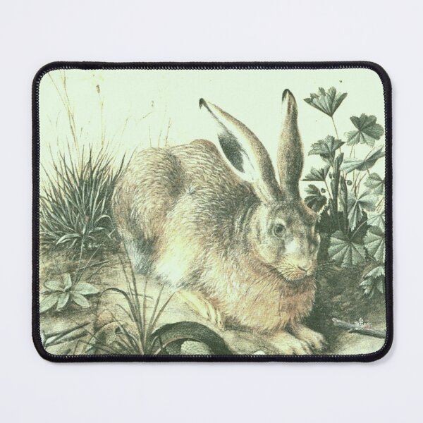 Item preview, Young hare albercht dürer artwork designed and sold by Golido.