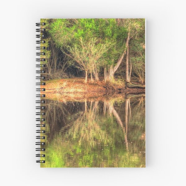 Item preview, Serendip Sanctuary Reflections 2 designed and sold by Danielle Miner.