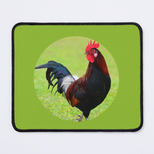 Item preview, Photography of a Rooster Standing Outdoor designed and sold by TheCatmeow2000.