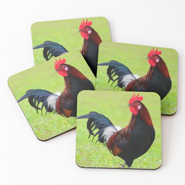 Item preview, Photography of a Rooster Standing Outdoor designed and sold by TheCatmeow2000.