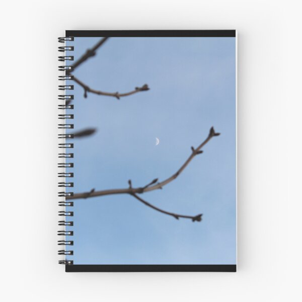 Item preview, Moon designed and sold by Bello Designs.