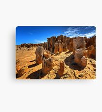 1666 Petrified forest Canvas Print