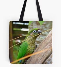 Wild Thing, You Make My Heart Sing! Maroon-Bellied Conure - NZ Tote Bag