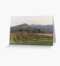 Vineyard Greeting Card
