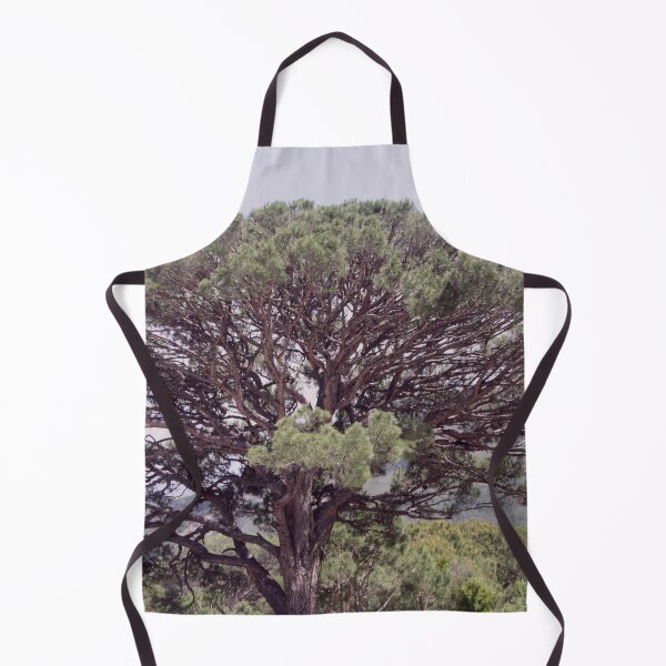 Item preview, Altintas Aydin Bozdogan Nature Reserve Pistachio Tree designed and sold by taiche.