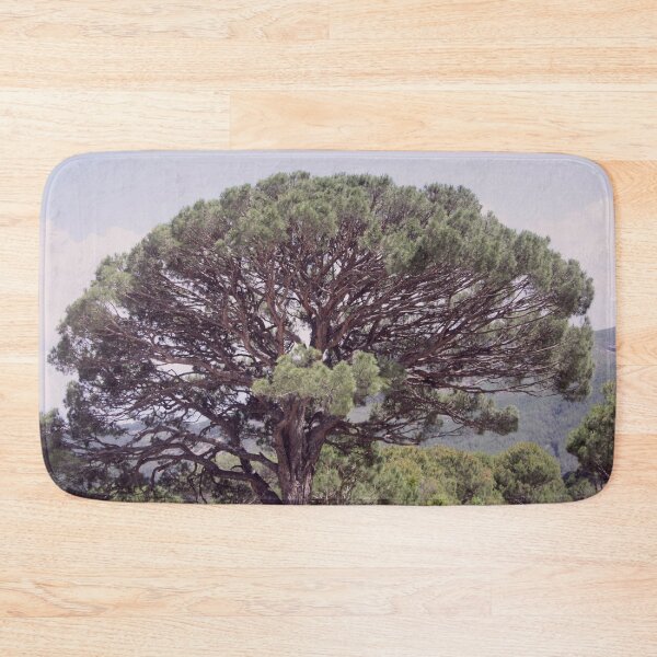 Item preview, Altintas Aydin Bozdogan Nature Reserve Pistachio Tree designed and sold by taiche.