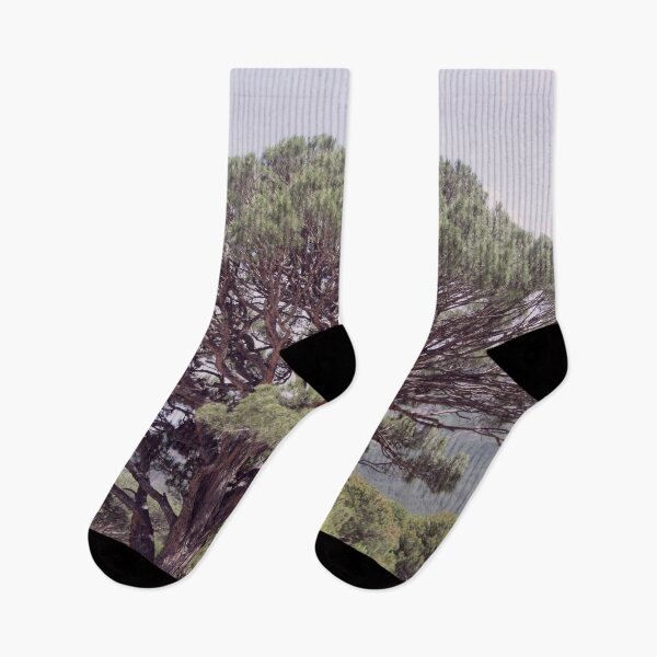 Item preview, Altintas Aydin Bozdogan Nature Reserve Pistachio Tree designed and sold by taiche.