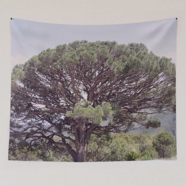 Item preview, Altintas Aydin Bozdogan Nature Reserve Pistachio Tree designed and sold by taiche.