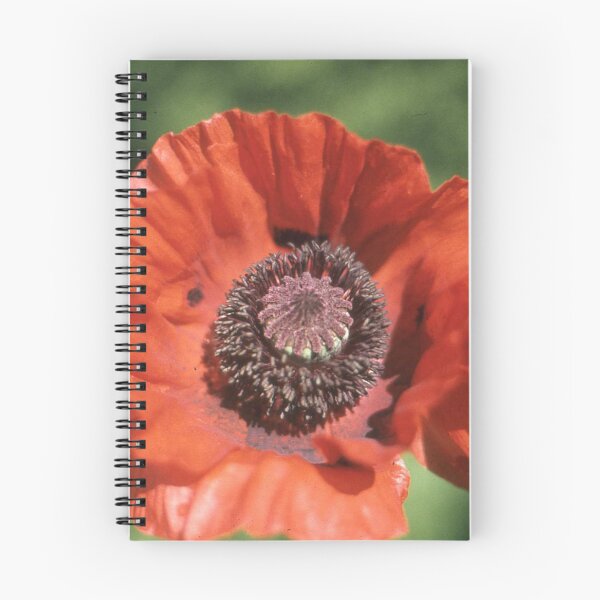 Item preview, Poppy designed and sold by Robert Elfferich.