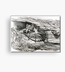 ICON ~ D1G1TAL-M00DZ ~ Thylacine Mother and Young by tasmanianartist Canvas Print
