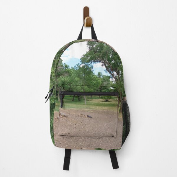Item preview, Historic Slaughter Ranch v1. designed and sold by DingoRice.
