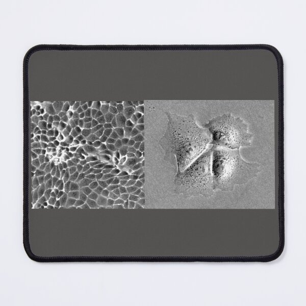 Item preview, Cells in Gray - Natural Beauty of Biology designed and sold by ArtByScience.