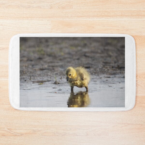 Item preview, Pigpen reflections  designed and sold by Sandi Walmsley.