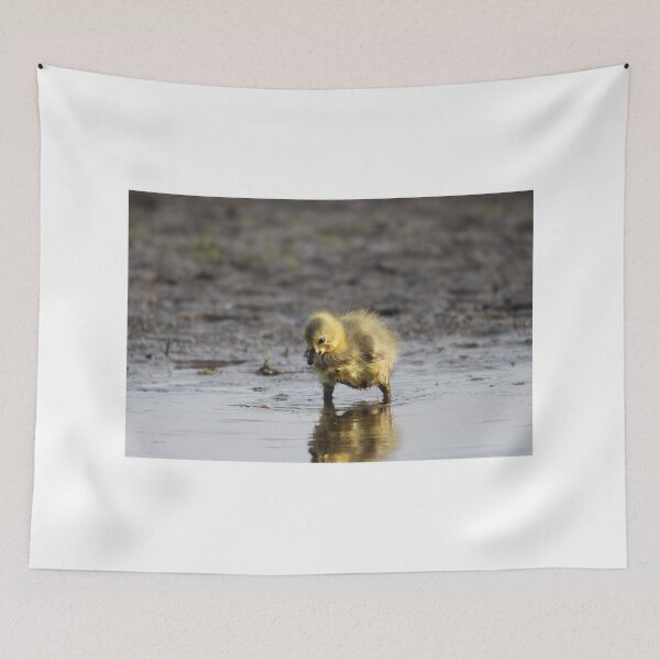 Item preview, Pigpen reflections  designed and sold by Sandi Walmsley.