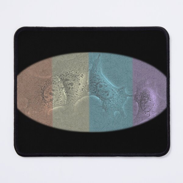Item preview, Cells in Pastel - Science Expressions designed and sold by ArtByScience.