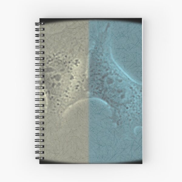 Item preview, Cells in Pastel - Science Expressions designed and sold by ArtByScience.