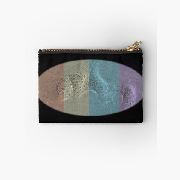 Item preview, Cells in Pastel - Science Expressions designed and sold by ArtByScience.