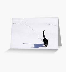 Snow Cat Greeting Card