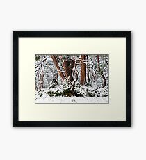Cradle Mountain National Park Framed Print